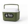 LOVIVER 6 Pezzi Frigo Portatile con Ice Pack Inclusi Borsa Termica Leggera con Rivestimento Interno Contenitore per Pranzo E Spuntini Adatta per Pesca Trekking E Escursioni Naturalistiche