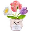 Generico Crochet Flowers - 1.57x1.57x6.3 Inches Teacher Appreciation Emotional Desk Decor | Crochet Plant With Card For Women Men Girls Boys Students Coworkers Teachers