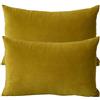 ZZDZW Lusso Cuscino Copre Caso Federa Cuscino 50x70 40x70 60x80 cm Copricuscino Per Divano con Cerniera Federe in Velluto per divano letto arredamento set di due Copricuscini(#14,33x50cm set of 2)