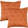 Huahuanghui 2 Pièce Federa Zucca per Cuscino 45 x 45 cm, Federe Autunnali in Peluche Morbida, Federa per Cuscino con Cerniera per Halloween per Soggiorno, Camera da Letto, Bambini, Famiglia