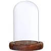 perfk Cupola di Vetro Vaso Forma di Campana di Vetro con Legno, Brown a