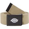 DICKIES Uomo Dickies Cintura Orcutt