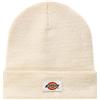 DICKIES Uomo Dickies Beanie Gibsland