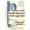 Wildfire How The Irish Saved Civilization: The Untold Story of Ireland's Heroic Role from the Fall of Rome to the Rise of Medieval Europe