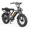 NONE Bicicletta Elettrica per Adulti HEADER BK20, Motore 750W, Batteria al Litio 48V 20Ah, Pneumatici Fat da 20 Pollici, Telaio in Ferro, E-bike con Display LCD, Disponibile in Magazzino UE
