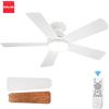 IRALAN Ventilatore da Soffitto con Telecomando e Lampadario, Ventilatore Elettrico di Grande Potenza con Luce a Tre Colori, Lampada da Soffitto per Casa