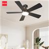 IRALAN Ventilatore da Soffitto Moderno con Illuminazione LED, Smart Tre-in-uno con Telecomando, Lampada Ventilatore da Soffitto, Grande Ventilatore Elettrico a 3/5 Pale