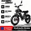 Rayzeph C20Max Ebike 2000W Doppio Motore 52V 40Ah Doppia Batteria 180N.M Freni a Disco Idraulici Velocità 60Km/H Bicicletta Elettrica per Adulti Pneumatici Fat da 20 Pollici Display LCD a Colori