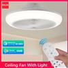 IRALAN Ventilatore da Soffitto Semplice e Sicuro con Luce, Telecomando, Dimmerabile, LED Freddo, Lampada Ventilatore Elettrica, Decorazione Moderna per la Stanza