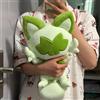 Aoger Nuovo Peluche Pokémon Sprigatito, Giocattolo Morbido a Forma di Gatto Kawaii, Volpe Verde Imbottita, Regalo di Compleanno