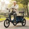 Daibot Triciclo elettrico da 18 pollici con sedile posteriore per famiglie, 2 persone, 650W 48V, bici elettrica a 3 ruote per adulti