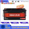 ECGSOLAX Batteria LiFePO4 ECGSOLAX 100AH 25.6V/12.8V con caricabatterie gratuito, batteria al litio 12.8V con BMS integrato da 180A, oltre 6000 cicli, per barche, spedizione rapida dall'UE