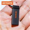 HEYGATE Chiavetta USB 2.0 in Metallo Resistente all'Acqua e alle Cadute, 8G 16G 32G 64G 128G, Ottima Idea Regalo per il Backup dei Dati