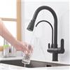MYQualife Rubinetto da Cucina con Filtro per Acqua Pura, Doppia Maniglia per Acqua Calda e Fredda, Miscelatore Estraibile per Cucina
