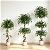 HiMISS Albero di Ficus Artificiale 120/150/180cm, Pianta Realistica in Seta Sintetica con Tronchi Curvi, Vaso Bianco, Decorazione Verde per Interni, Soggiorno, Ufficio, Ingresso