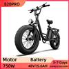 URLIFE Bicicletta Elettrica per Adulti URLIFE E20PRO, E-bike All-Terrain con Batteria 48V 15.6AH, Pneumatici Fat 20x4 Pollici