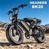 Bicicletta Elettrica HEADEER BK20 250W 48V20Ah Batteria Autonomia 80KM Pneumatici Fat da 20'' Bici Elettrica da Città e Montagna con Freni a Disco E-bike