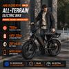HEADEER BK20 Bicicletta elettrica su terreno, batteria da 48 V 20 Ah, motore da 750 W, ruote spesse 20"x4,0", bici elettrica off-road per adulti con freni a disco idraulici e sistema completo di