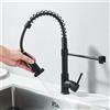 quyanre Rubinetto da Cucina Nero Opaco con Doccetta Estraibile, Miscelatore Monocomando Acqua Calda e Fredda, Rotazione a 360°