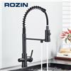 rozin Rubinetto da cucina con filtro 2 in 1 estraibile, flessibile a 360°, per acqua potabile purificata, miscelatore in ottone per acqua calda e fredda