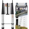 NONE Scala telescopica in lega di alluminio da 6,2 metri con 2 ganci; scala con supporto antiscivolo e 15 gradini; scala telescopica portatile per interni ed esterni con capacità di carico di 150 kg