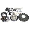POLINI Accensione POLINI analogica con luce per Vespa Special 50 69-83 V5A2T/V5B2T/V5B3T