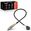 Frankberg Sonda lambda prima Kat Sostituzione per Astra G/H Corsa C/D Zafira A/B Corsa 1.4L 55562205