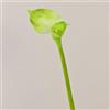 artplants.de Calla Artificiale, Naturale al Tatto, Verde-Bianco, 80cm