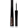Revolution Master Flick Liquid Eyeliner 5 ml