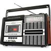 Ricatech PR85