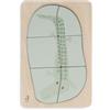 Jollein - Puzzle in Legno, 105-001-68056, Croco