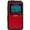 AIWA RD-20DAB RD, radio tascabile DAB/FM-RDS