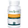 Erba vita Olio fegato merluzzo 100 perle 453 mg