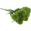 ReachMall Fiori di dente di leone, 10 palline di fiori di plastica da 26 cm, verdi artificiali, per matrimoni, casa, feste, colore bianco (verde)