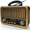 OEM Radio Bluetooth portatile con un eccellente sistema audio, ideale sia per interni che per esterni