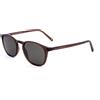 Benetton occhiali da sole uomo BEO1037 brown 1 St
