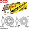 DID HONDA VT-C SHADOW (PC16) 600 1990-2004 catena corona pignone kit DID 525VX3 p...