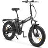 NILOX - X8 PRO - Fat Bike, bici elettrica in acciaio, ruote da 20 pollici, 6 rapporti - Nero
