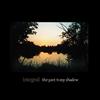 Integral The Past Is My Shadow (CD)
