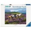 Ravensburger Erwachsenenpuzzle 2000 Teile - Wildpferde in der Heide
