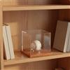 Teca in Acrilico con Base in Legno da Tavolo per Scrivania, Collezionisti