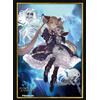 Shadowverse EVOLVE Official Sleeve Vol.6 Shadowverse EVOLVE "Luna" F/S
