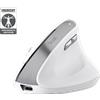 Trust Mouse Wireless Trust Bayo II Ergonomico Bianco