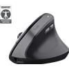 Trust Mouse Wireless Trust Bayo II Ergonomico Nero