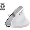 Trust Mouse Wireless Trust Bayo+ Ergonomico Bianco