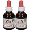 Fitomater Ananas 2x50 ml Gocce orali
