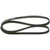 BOSCH Cinghia Poly-V 1987946052