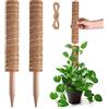 Pisol Palo di muschio, Supporto per bastoncini estensibili, Pali per piante in vaso da interni, Traliccio per piante in fibra di cocco da 40 cm per piante Monstera, Pothos e altre piante rampicanti