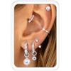 BodyBonita Set Orecchini Donna 8 Paia,Orecchini a Cerchio Anallergici Color Argento Perni Piatti con Zirconi,Ear Jacket Lobo Cartilagine Ipoallergenici Cerchietti Piccoli Confezione Regalo