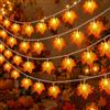 YeahBoom Catena luminosa autunnale, 1,5 m, 10 LED, foglie d'acero